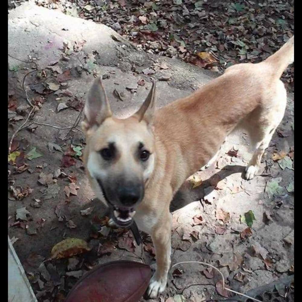 Meet your Posher, Charlie